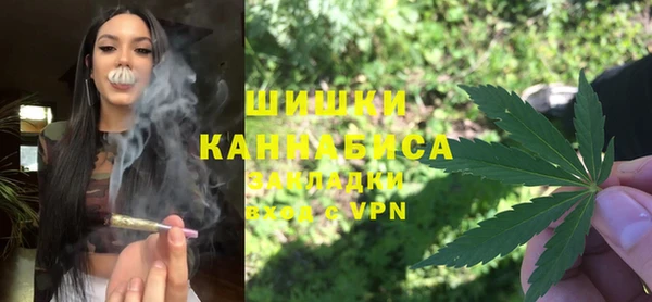 ГАЛЛЮЦИНОГЕННЫЕ ГРИБЫ Порхов