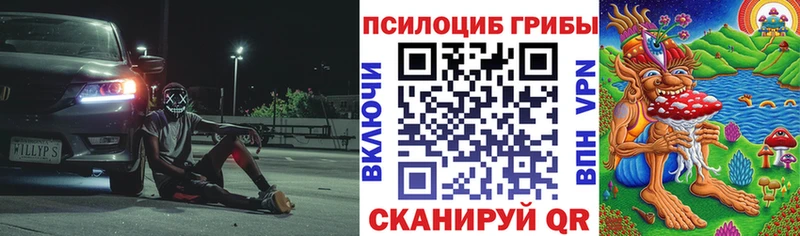 Псилоцибиновые грибы GOLDEN TEACHER  ссылка на мегу tor  Вихоревка 